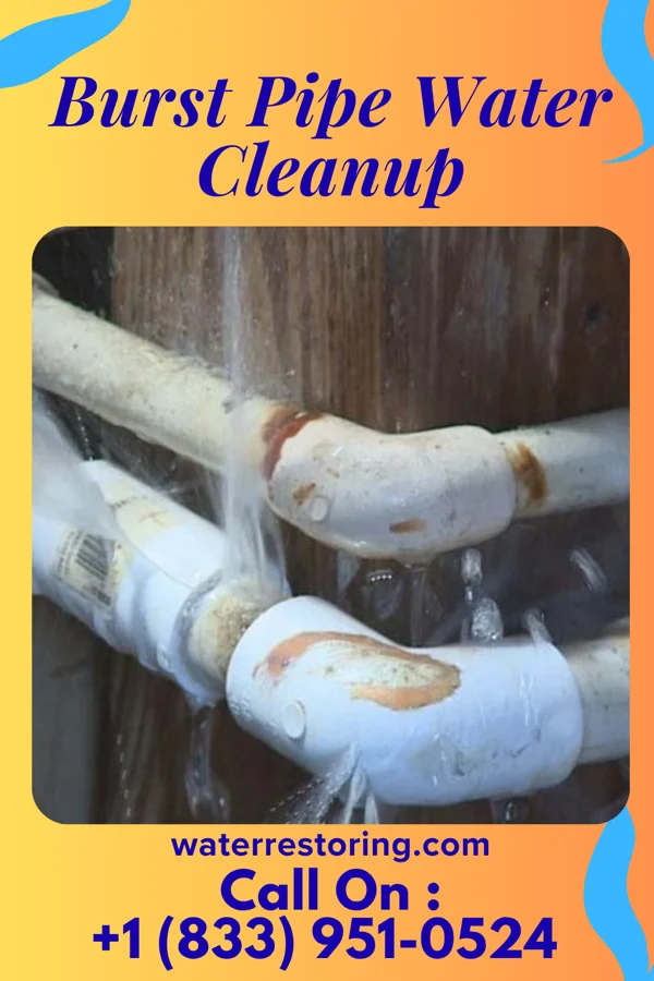 Burst Pipe Water Cleanup in Miller, OH