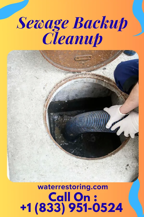 Sewage Backup Cleanup in Miller, OH