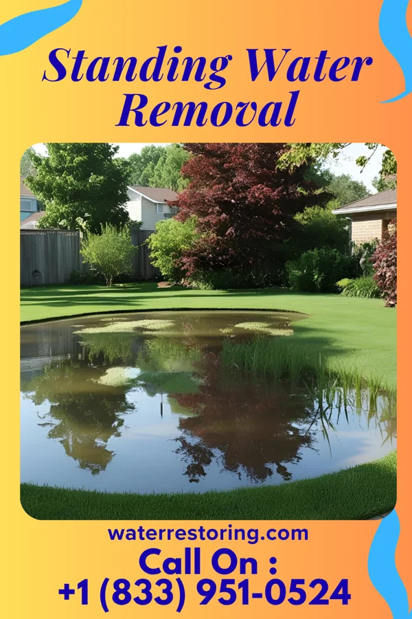 Standing Water Removal in Miller, OH